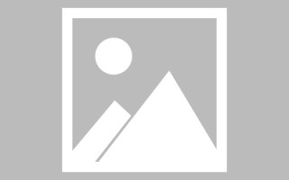 通许最佳网站建设（网站建设哪个平台最好）